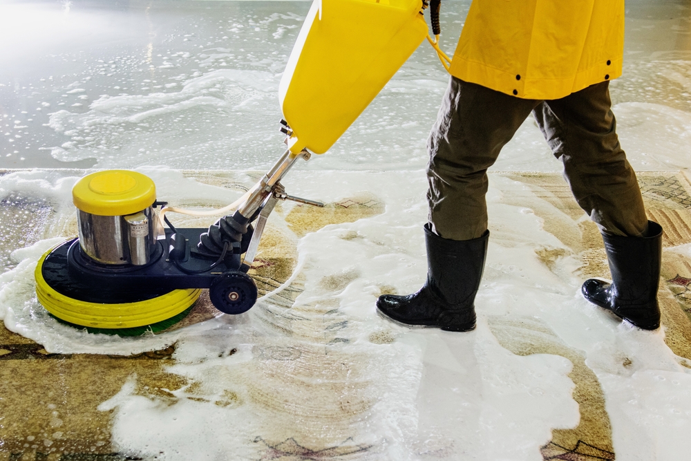 Upholstery Cleaning